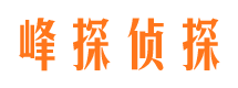 随县市私家调查